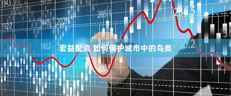 宏益配资 如何保护城市中的鸟类