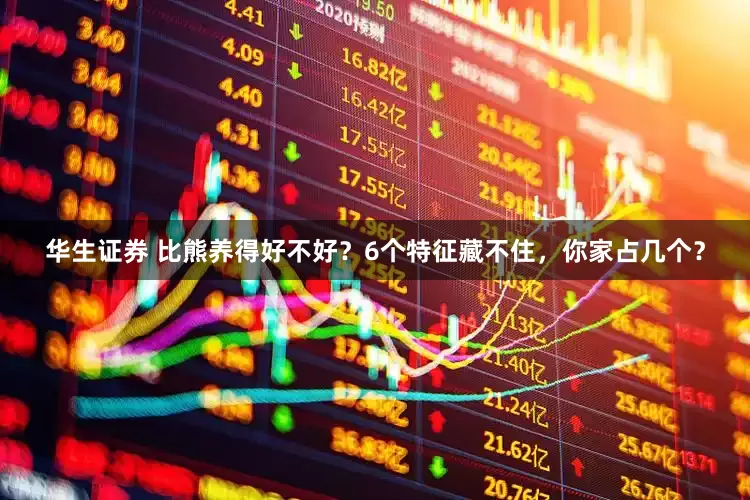 华生证券 比熊养得好不好？6个特征藏不住，你家占几个？